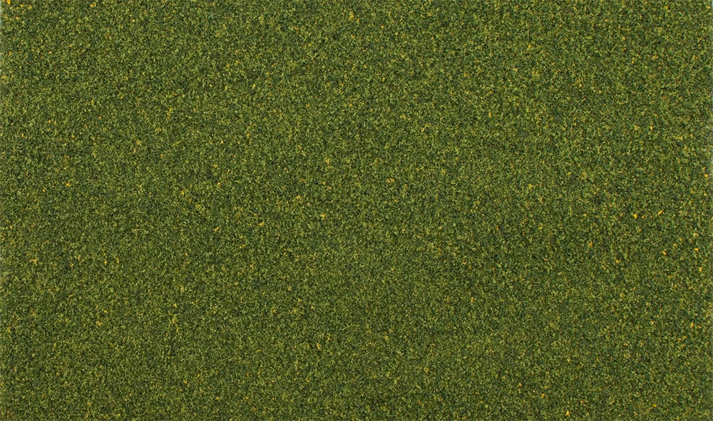 Summer Grass