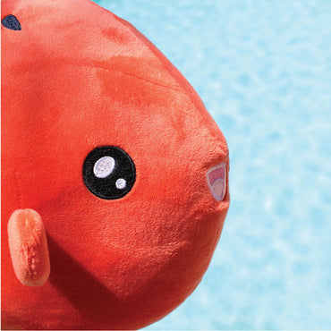 Watermelon Mola Mola Cute Plush