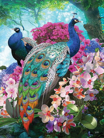 SunsOut: Rafael Trujillo - Pretty Peacock 300 Piece Puzzle