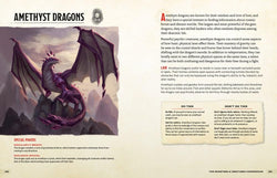 The Monsters & Creatures Compendium (Dungeons & Dragons): A Young Adventurer's Guide