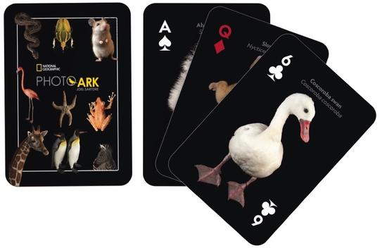 Playing Cards: National Geographic: Greatest Hits