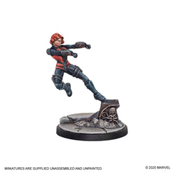 Marvel: Crisis Protocol: Hawkeye and Black Widow Agent of S.H.I.E.L.D